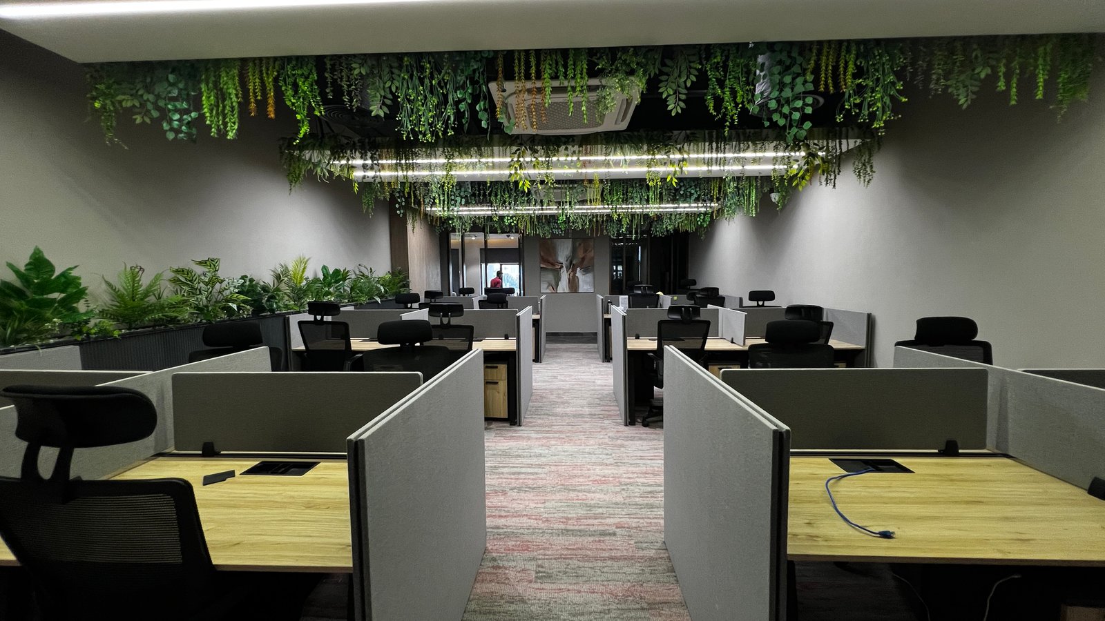 Digital Bank Alfalah